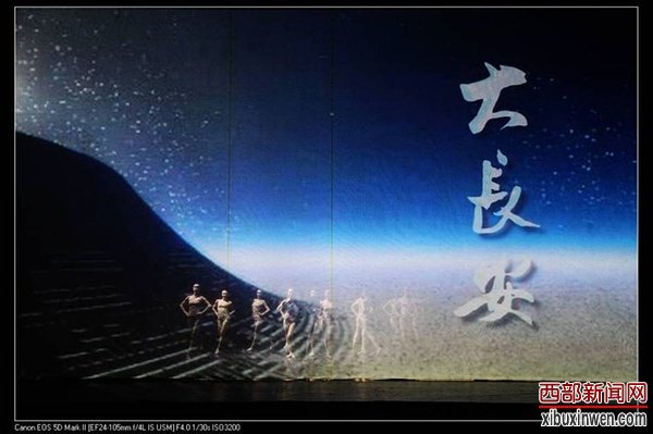 大长安 029-88564299