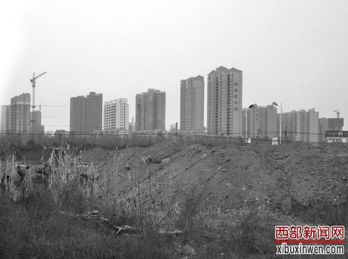 荒废的土地