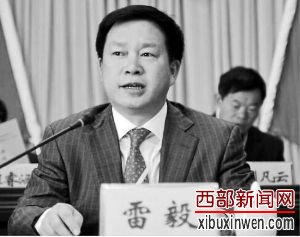 雷毅 (网络图片)