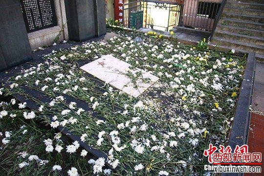 重庆一烈士墓花草被踩坏 周围一片狼藉