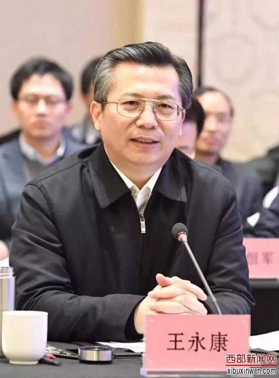 |市委书记王永康|