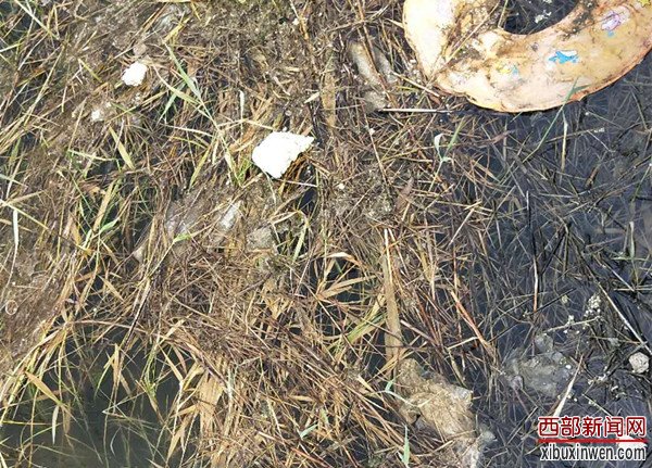 博兴县月亮湾