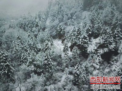 201811071059299040.jpg 1_副本.jpg