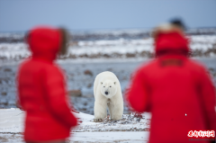 ̽Ѱ＾ƣЯôξϷȥôȻҡ